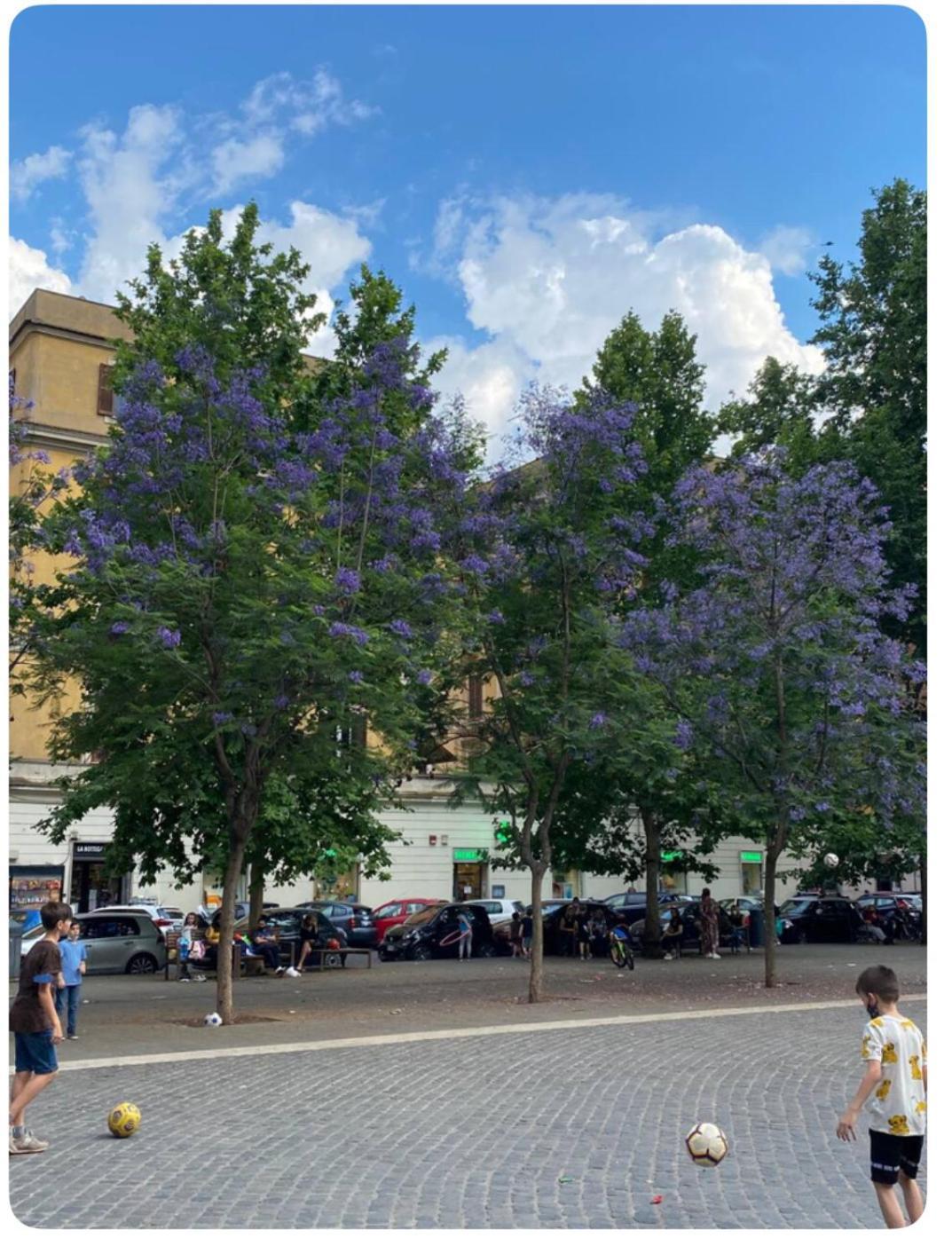 Testaccio Historic House Rzym Zewnętrze zdjęcie